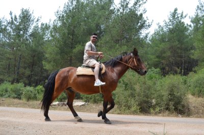 Ovacik At Turu Fethiye