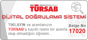 logo icon